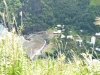 ma03_0019