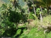 ma03_0027