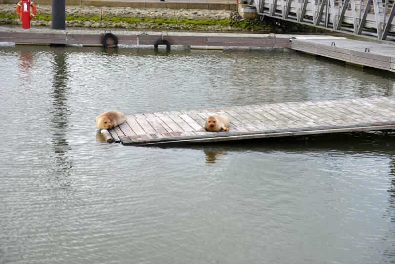 makkum_002