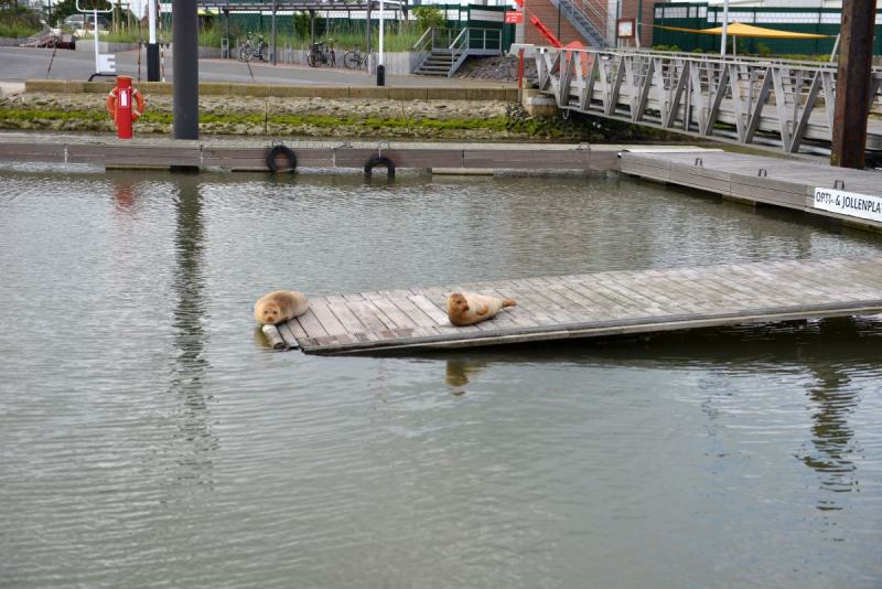 makkum_003
