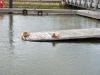 makkum_002