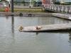 makkum_003