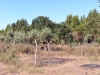 malaga_006