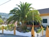 malaga_009