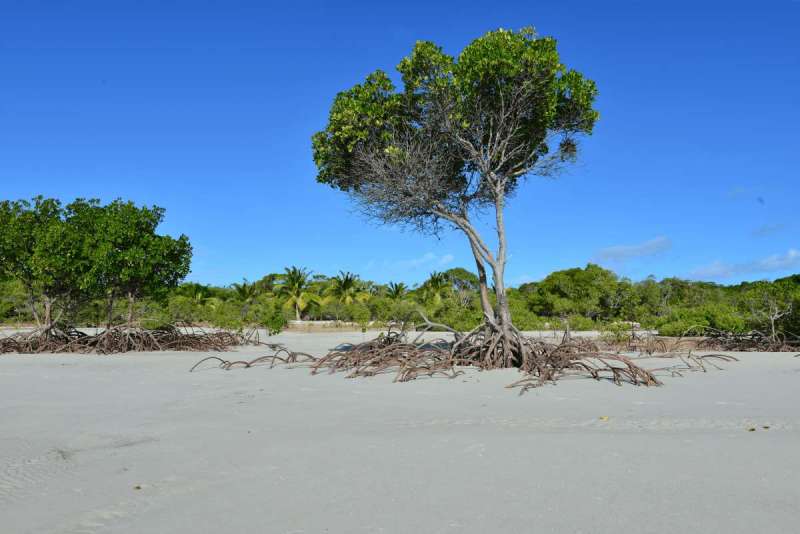 margaret_bay_0016