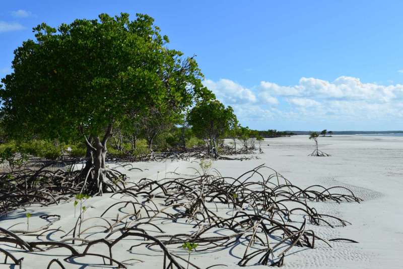 margaret_bay_0021