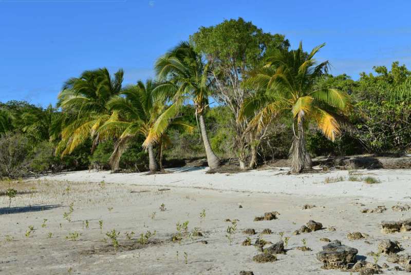margaret_bay_0036
