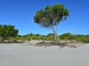 margaret_bay_0016