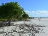 margaret_bay_0021