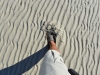margaret_bay_0031
