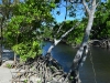 margaret_bay_0041
