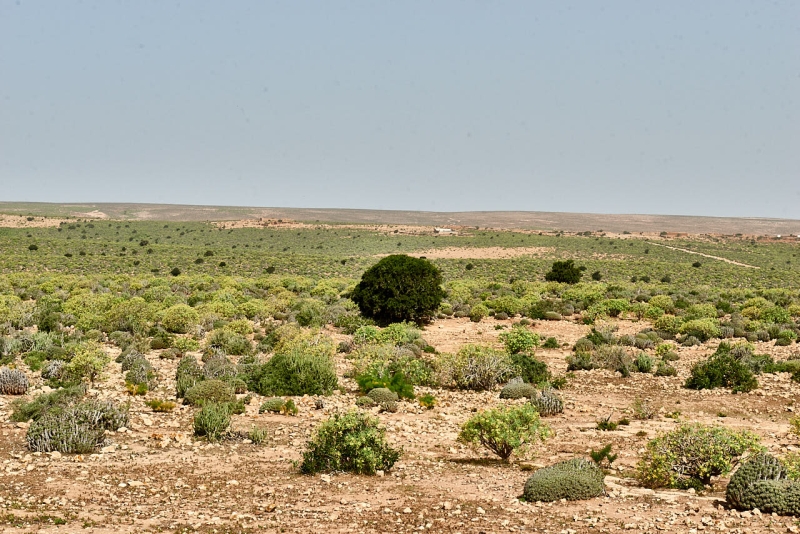 20220430_ma_to_taroudannt_80H_3229_web