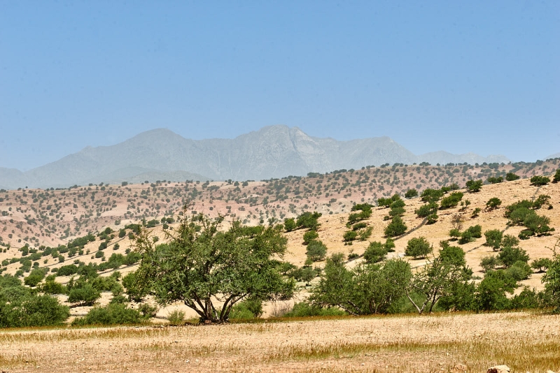20220502_ma_tizi_n_test_80H_3254_web