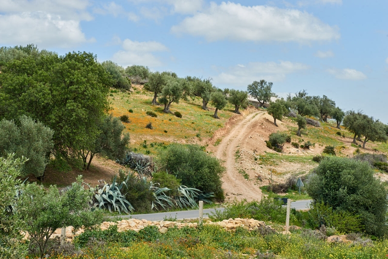 20220419_ma_chefchaouen_to_ait_ayach_80H_2409_web