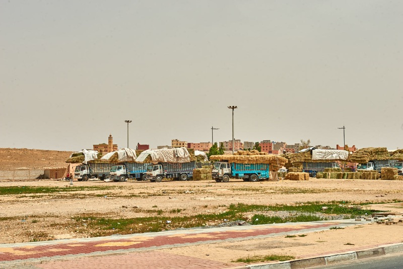 20220429_ma_sidi_ifni_80H_3166_web