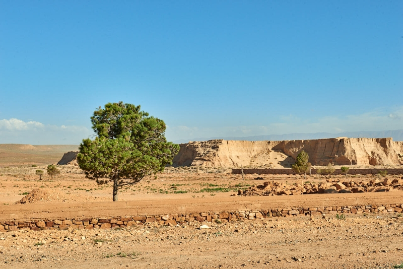 20220419_ma_chefchaouen_to_ait_ayach_80H_2444_web