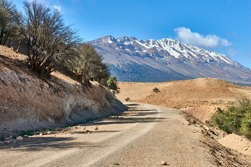 20220420_ma_ait_ayach_to_merzouga_80H_2481_web