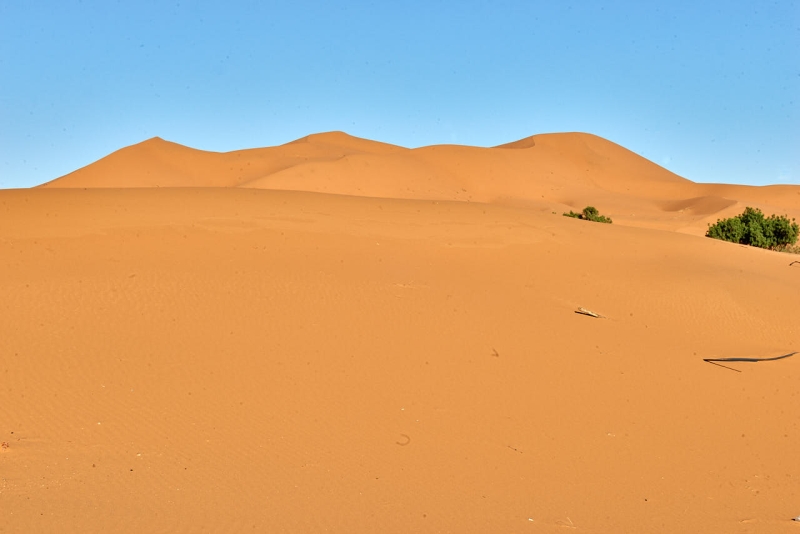 20220420_ma_ait_ayach_to_merzouga_80H_2580_web