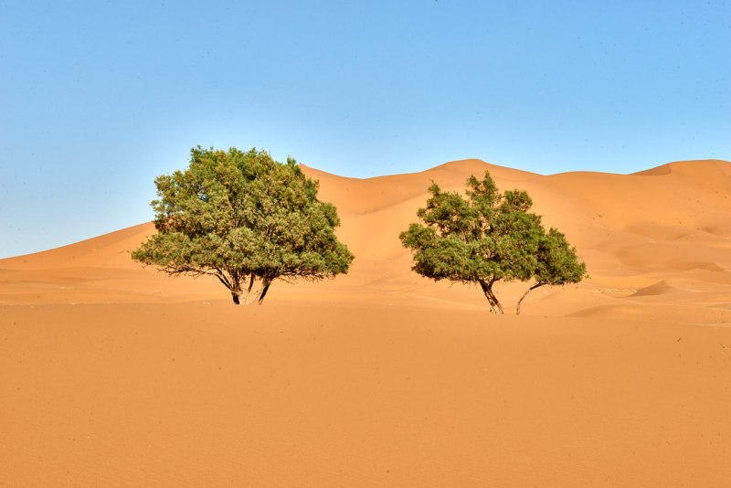 20220420_ma_ait_ayach_to_merzouga_80H_2587_web