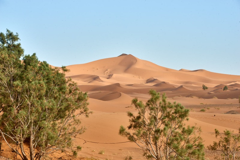 20220420_ma_ait_ayach_to_merzouga_80H_2594_web