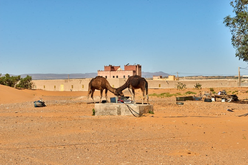 20220421_ma_merzouga_desert_tour_80H_2633_web