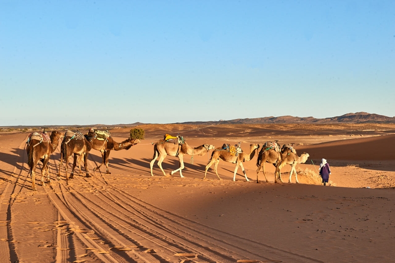 20220421_ma_merzouga_desert_tour_80H_2733_web