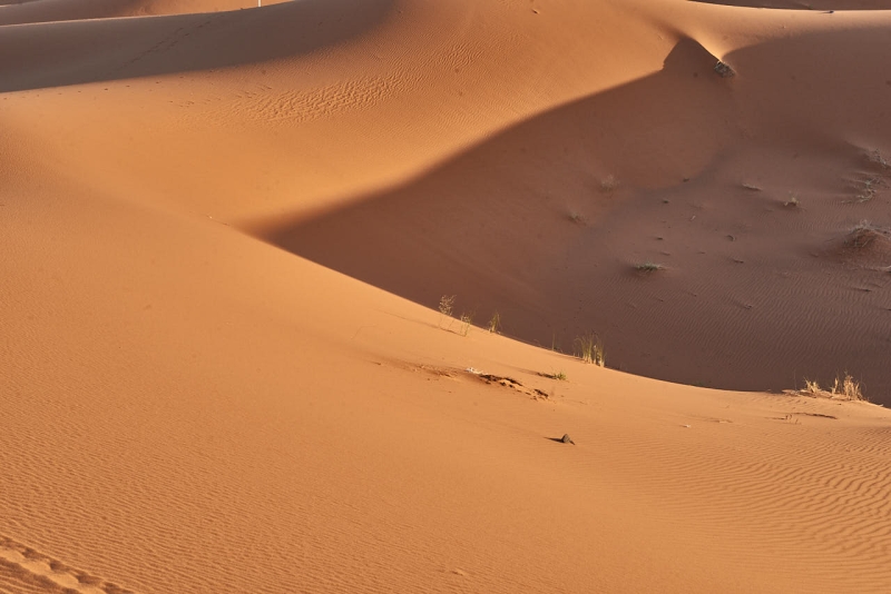 20220421_ma_merzouga_desert_tour_80H_2744_web