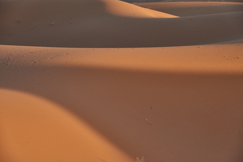 20220421_ma_merzouga_desert_tour_80H_2772_web