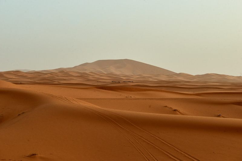 20220421_ma_merzouga_desert_tour_80H_2824_web