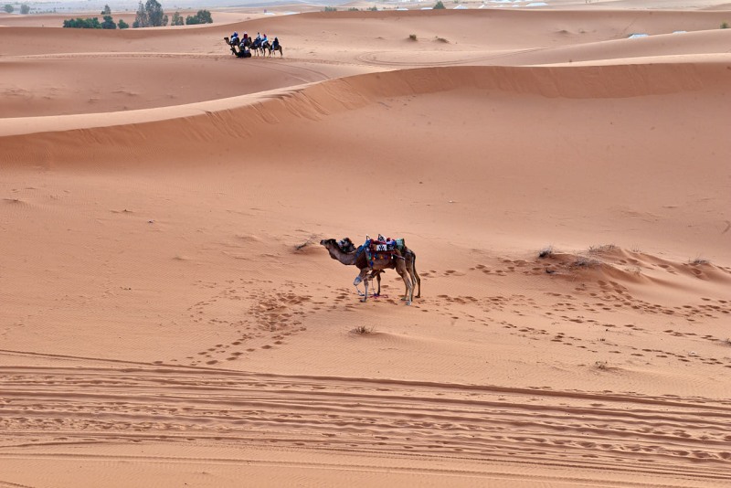 20220421_ma_merzouga_desert_tour_80H_2830_web