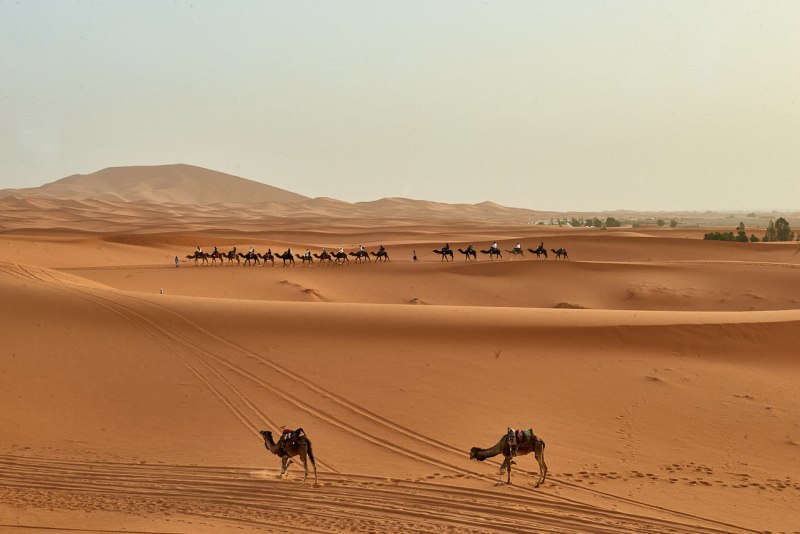 20220421_ma_merzouga_desert_tour_80H_2840_web