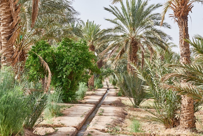 20220421_ma_merzouga_desert_tour_80H_2872_web