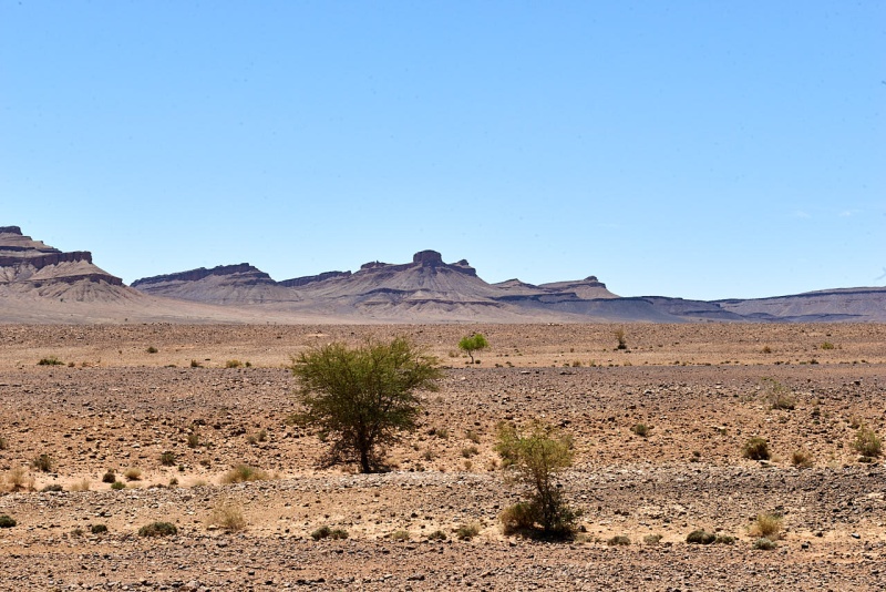 20220423_ma_merzouga_zagora_80H_2942_web