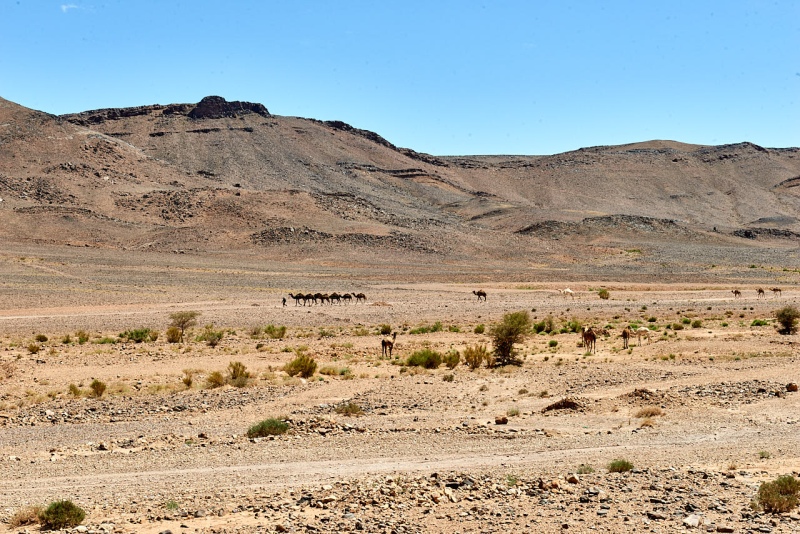 20220423_ma_merzouga_zagora_80H_2945_web