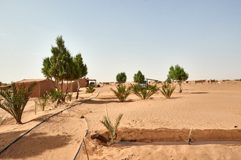 20220425_ma_zagora_mhamit_80H_3000_web