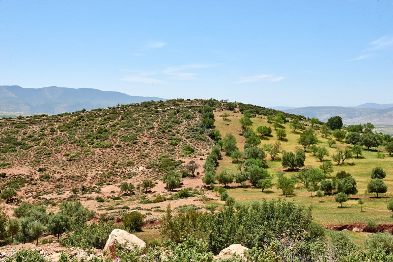 20220508_ma_beni_mellal_to_ouzoud_80H_3781_web