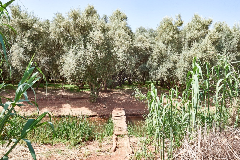 20220509_ma_ouzoud_80H_3812_web
