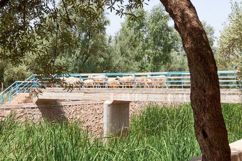 20220509_ma_ouzoud_80H_3836_web