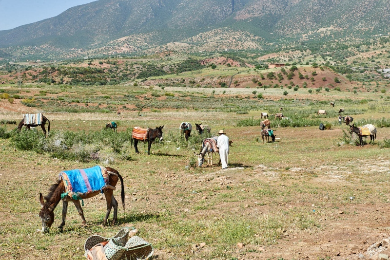 20220510_ma_ouzoud_80H_3862_web