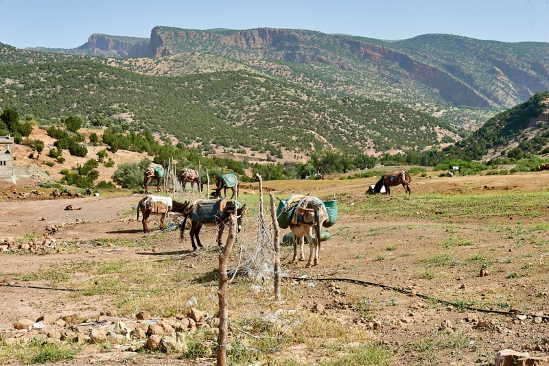 20220510_ma_ouzoud_80H_3863_web