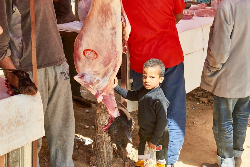20220510_ma_ouzoud_80H_3873_web