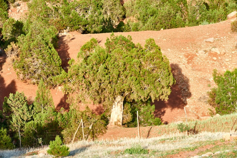 20220510_ma_ouzoud_80H_3890_web