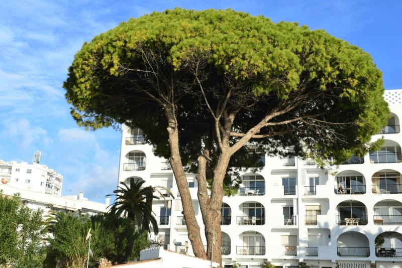 marokko_2026_anreise_erfolgt_019