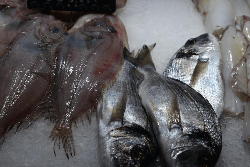 marokko_2026_anreise_versuch_008