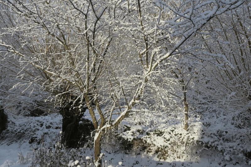 winter_2026_elmshorn_002