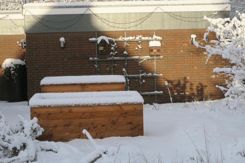 winter_2026_elmshorn_005