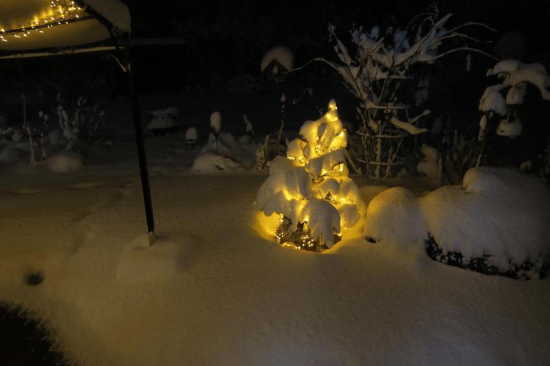 winter_2026_elmshorn_006