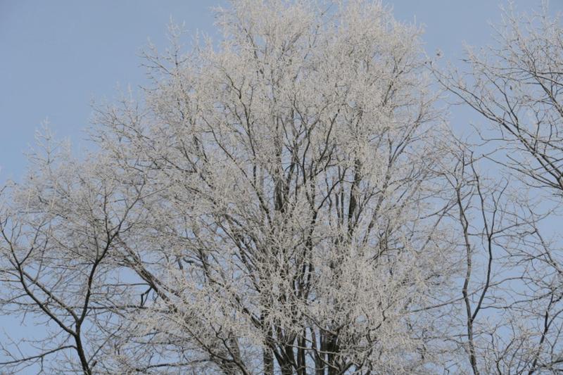 winter_2026_elmshorn_009