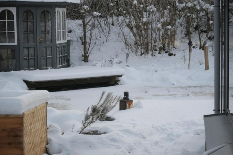 winter_2026_elmshorn_010