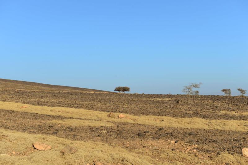 marokko_2026_bou_rbia_018